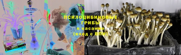 шишки Лиски