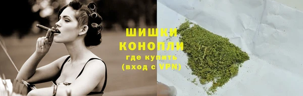 шишки Лиски