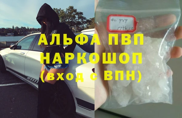 амф Ладушкин