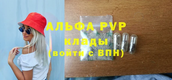стаф Липки
