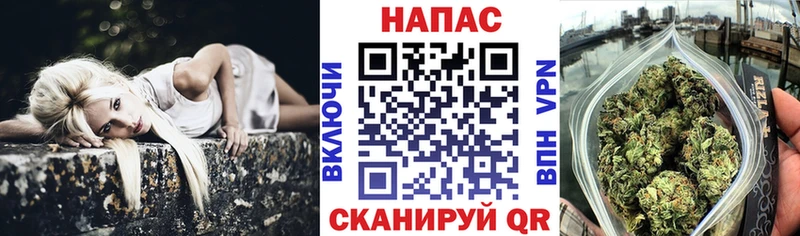Каннабис гибрид  купить наркотик  Медвежьегорск 